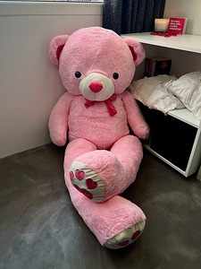 UUS! Kaisukaru 180cm (2 foto / 2)