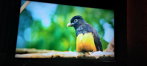 Televiisor JVC FullHD LED 55" (3 foto / 3)