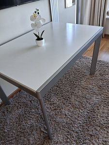 Laud 120x80 pikendatav (3 foto / 4)
