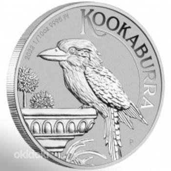 2022 1/10 oz $15 AUD Australian Platinum Kookaburra Coin BU (foto #1)