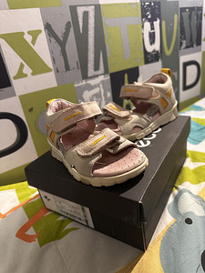 Ecco s. 23