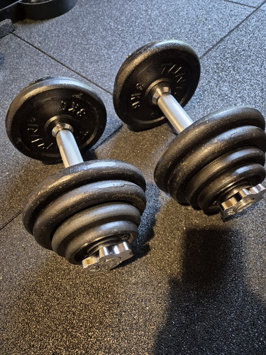 Tunturi hantlid malm metall 15kg ja 10kg paar