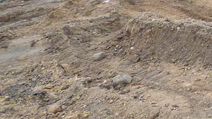 Pinnas tasuta (1 foto / 1)