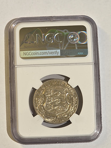 1930 ESTONIA 2K TOOMPEA FORTRESS NGC AU DETAILS (2 foto / 2)
