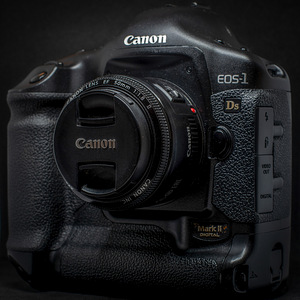 Canon 1Ds Mark II (1 foto / 9)