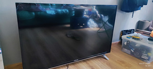Finlux 49 teler (4 foto / 4)
