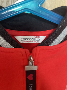 Coccodrillo jope (4 foto / 4)