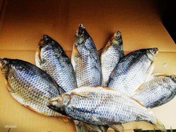 Kuiv kala marjaga Peipsilt 2022 (foto #1)