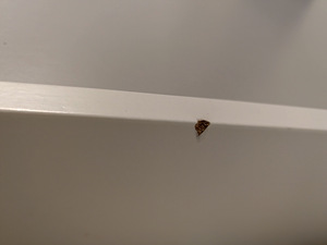 IKEA panipaigaga tegevuslaud DUNDRA (5 foto / 5)