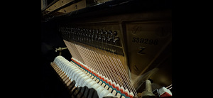 STEINWAY & SONS klaver (6 foto / 7)