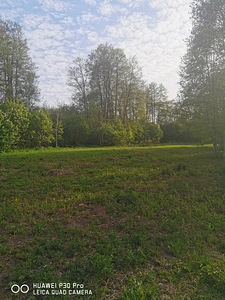 Ojakalda tee 3, Kloogaranna, Lääne-Harju vald, Harjumaa (7 foto / 8)
