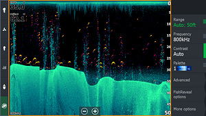 Lowrance Elite-12 Ti2 AI 3in1 + Navionics kaart (2 foto / 4)