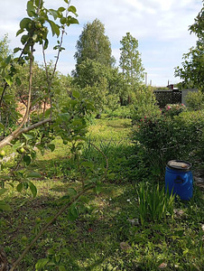 Rohuaia tn, Jõhvi, Jõhvi vald, Ida-Virumaa (2 foto / 5)