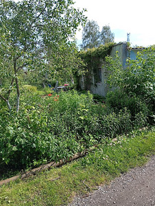 Rohuaia tn, Jõhvi, Jõhvi vald, Ida-Virumaa (3 foto / 5)