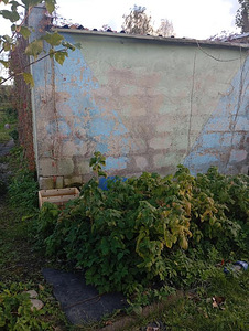 Rohuaia tn, Jõhvi, Jõhvi vald, Ida-Virumaa (4 foto / 5)