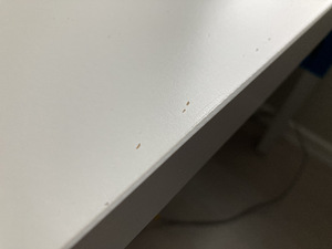 Ikea reguleeritav laud lastele PAHL (3 foto / 3)