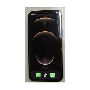 Telefon Apple Iphone 12 Pro Max 128Gb (4 foto / 7)