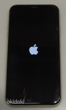 Mobiiltelefon Apple Iphone 11 64Gb + ümbrik (foto #4)