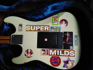 Samick Standard Stratocaster Ivory (7 foto / 7)