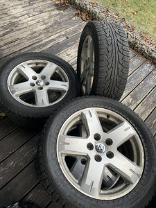 R19 veljed + hakkapeliitta sport plus (1 foto / 3)