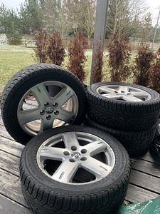 R19 veljed + hakkapeliitta sport plus (3 foto / 3)