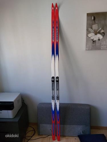 Madshus лыжи Lillehammer Touring Series 210см (фото #4)