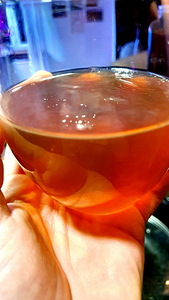 Teeseen / Kombucha (värske kiht). (3 foto / 3)