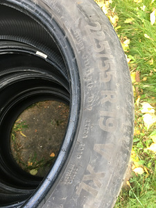 Suverehvid (2 foto / 6)