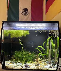 Akvaarium FLUVAL 57L (4 foto / 5)