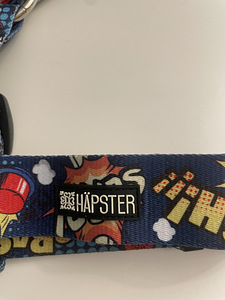 Häpster koerte traksid UUED! (2 foto / 3)