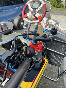 Продается Tony Kart Racer с двигателем Rotax Max Evo (5 фото из 5)
