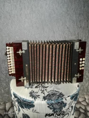 Немецкий диатонический аккордеон 21+8 (фото #2)