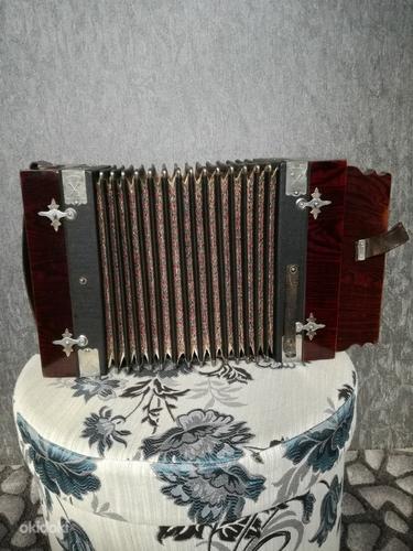 Немецкий диатонический аккордеон 21+8 (фото #3)