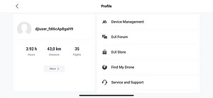 DJI Mini 2 Fly More + extras. Garantii kuni juuli 2024 (6 foto / 7)