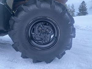 Kawasaki Brute Force 750 (6 foto / 9)