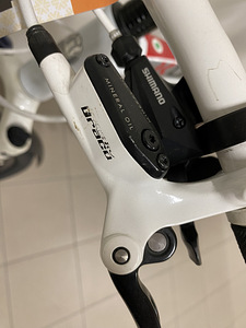 Bianchi kuma 5100 (7 foto / 10)