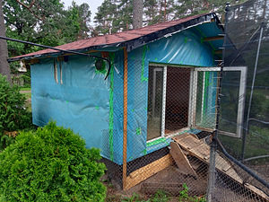 Aiamaja linnumaja kanamaja saun (2 foto / 3)