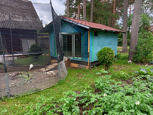 Aiamaja linnumaja kanamaja saun (3 foto / 3)