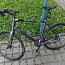 M: jalgratas MERIDA SPEEDER 300 , L suurus, garantiiga! (foto #2)