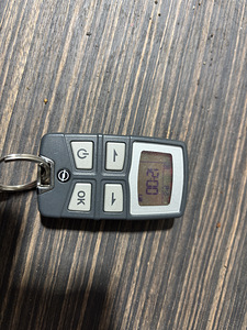 Webasto telestart (2 foto / 2)