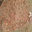 Напольная тарелка - сервировочный поднос, керамика ручной работы (фото #4)