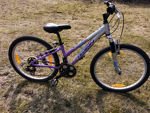 Schwinn Frontier 24" (2 foto / 5)
