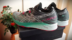 Р..41( 26см)-ASICS FujiSPEED active run (4 фото из 9)
