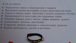 Собака ваш лучший друг,ЭКСМО,Москва 2006 г. (6 фото из 9)