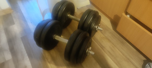 Hantlid 2x15kg (1 foto / 1)