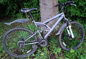 Silver Fox LX ONE naiste MTB 26'' (2 foto / 2)