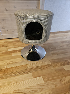 Кошачье гнездо