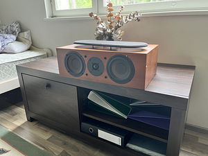 DLS R66 Hifi põrandakõlarid (4 foto / 4)