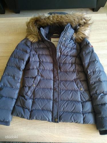 Talve jope HILFIGER