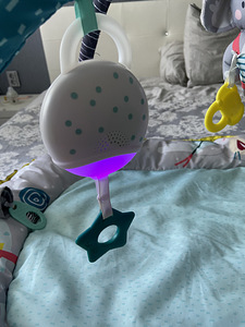 Muusikaline arendusmatt Koala Taf Toys (3 foto / 4)